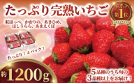 いちご 訳あり 約 1200g 【2027年1月より発送開始】 300g × 4パック 1.2kg 1200グラム 先行予約 苺 イチゴ 果物 食べ比べ 紅ほっぺ かおりの べにほっぺ かおり野 あきひめ ほしうらら あまえくぼ 星うらら フルーツ くだもの おまかせ 完熟 不揃い 直送 さわらリバーファーム 千葉県 香取市 SDK002