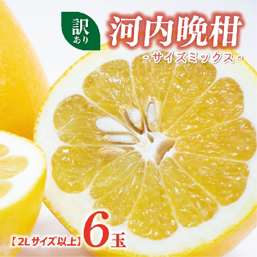 訳あり 河内晩柑 2L サイズ 以上 6玉  (約 3.5kg) サイズミックス 5000円 みかん かわちばんかん ミカン mikan わけあり 愛南ゴールド 家庭用 あいなん ゴールド 美生柑 文旦 派生 和製 グレープフルーツ 産地直送 国産 農家直送 期間限定 数量限定 特産品 人気 甘い おいしい フルーツ 果物 柑橘 蜜柑 アイス ジュース 等に 規格外 大樹農園 愛南町 愛媛県 2616608 - 愛媛県愛南町