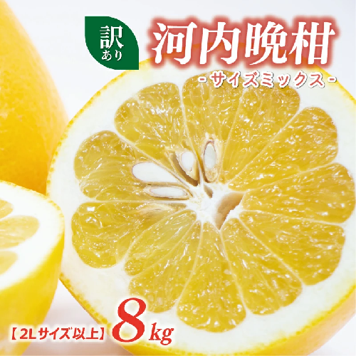 訳あり 河内晩柑 2L サイズ 以上 8kg サイズミックス 7000円 みかん かわちばんかん ミカン mikan わけあり 愛南ゴールド 家庭用 あいなん ゴールド 美生柑 文旦 派生 和製 グレープフルーツ 産地直送 国産 農家直送 期間限定 数量限定 特産品 人気 限定 甘い おいしい フルーツ 果物 柑橘 蜜柑 アイス ジュース 等に 規格外 大樹農園 愛南町 愛媛県 2616609 - 愛媛県愛南町