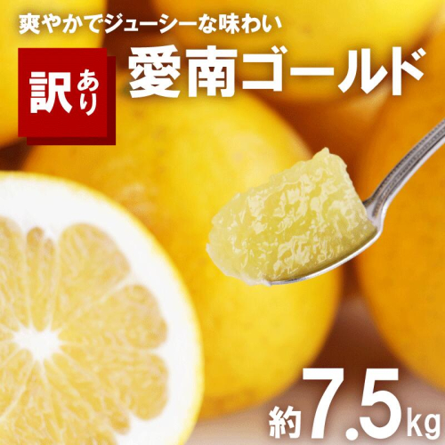訳あり 河内晩柑 7.5kg サイズミックス 7000円 みかん かわちばんかん ミカン mikan わけあり 愛南ゴールド 家庭用 あいなん ゴールド 美生柑 文旦 派生 和製 グレープフルーツ 産地直送 国産 農家直送 期間限定 数量限定 特産品 人気 限定 甘い おいしい 小玉 含む フルーツ 果物 柑橘 蜜柑 アイス ジュース 等に 規格外 大樹農園 愛南町 愛媛県 2616610 - 愛媛県愛南町
