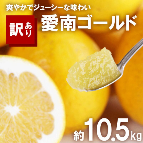 訳あり 河内晩柑 10.5kg サイズミックス 10000円 みかん かわちばんかん ミカン mikan わけあり 愛南ゴールド 家庭用 あいなん ゴールド 美生柑 文旦 派生 和製 グレープフルーツ 産地直送 国産 農家直送 期間限定 数量限定 特産品 人気 限定 甘い おいしい 小玉 含む フルーツ 果物 柑橘 蜜柑 アイス ジュース 等に 規格外 大樹農園 愛南町 愛媛県 2616611 - 愛媛県愛南町