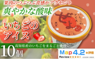 いちご アイス 100ml×10個 アイスクリーム 人気 ご当地アイス 高知県 イチゴ 苺 いちご味 いちごアイス スイーツ デザート お菓子 おやつ ヘルシー 高知県産   氷菓 手作り 酸味 甘み 濃厚 ジューシー 果物  フルーツ 話題 定番 ホームパーティー おもてなし 詰め合わせ 贈り物 贈答 冷凍 ギフト プレゼント ロングセラー リピート 安芸市 高知県