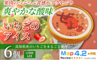 いちご アイス 36個 100ml×6個×6回定期便 アイスクリーム 人気 ご当地アイス 高知県 イチゴ 苺 いちご味 いちごアイス スイーツ デザート お菓子 おやつ ヘルシー 高知県産   氷菓 手作り 酸味 甘み 濃厚 ジューシー 果物  フルーツ 話題 定番 ホームパーティー おもてなし 詰め合わせ 贈り物 贈答 冷凍 ギフト プレゼント ロングセラー リピート 安芸市 高知県