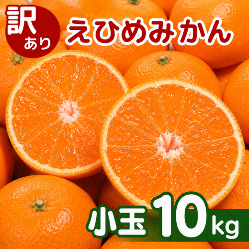 【先行予約】訳あり 愛媛みかん 小玉 10kg 傷み補償 500g 増量 【発送期間 2026年11月上旬～】 みかん 愛媛みかん 温州みかん 南柑20号 柑橘 蜜柑 かんきつ 冬 秋 旬 正月 愛媛 愛媛県 愛南町 お歳暮 プレゼント くだもの 果物 フルーツ スイーツ おやつ お菓子 和菓子 甘い 糖度 オレンジ 冷凍 みかん ジュース 清家ばんかんビレッジ 2616647 - 愛媛県愛南町