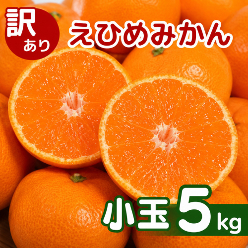 【先行予約】訳あり 愛媛みかん 小玉 5kg 傷み補償 250g 増量 発送期間 2026年11月上旬以降 みかん 愛媛みかん 温州みかん 南柑20号 柑橘 蜜柑 かんきつ 冬 秋 旬 正月 愛媛 愛媛県 愛南町 お歳暮 プレゼント くだもの 果物 フルーツ スイーツ おやつ お菓子 和菓子 甘い 糖度 オレンジ 冷凍 みかん ジュース 清家ばんかんビレッジ 2616648 - 愛媛県愛南町