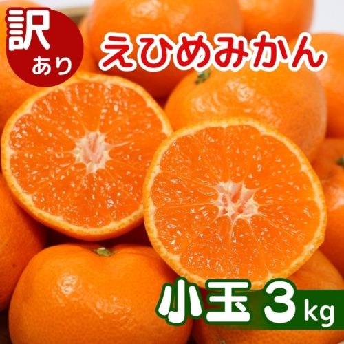 【先行予約】訳あり 愛媛みかん 小玉 3kg 傷み補償 250g 増量 発送期間 2026年11月上旬以降 みかん 愛媛みかん 温州みかん 南柑20号 柑橘 蜜柑 かんきつ 冬 秋 旬 正月 愛媛 愛媛県 愛南町 お歳暮 プレゼント くだもの 果物 フルーツ スイーツ おやつ お菓子 和菓子 甘い 糖度 オレンジ 冷凍 みかん ジュース 清家ばんかんビレッジ 2616649 - 愛媛県愛南町