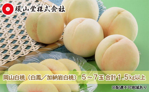 桃 2026年 先行予約 岡山 白桃（品種：白鳳／加納岩白桃）5～7玉 合計1.5kg以上 もも モモ 岡山県産 国産 フルーツ 果物 ギフト 環山堂 2616658 - 岡山県高梁市