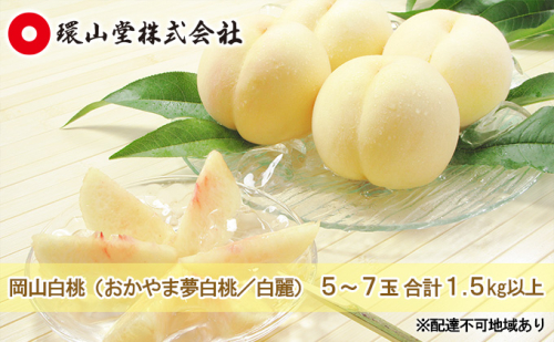 桃 2026年 先行予約 岡山 白桃（品種：おかやま夢白桃／白麗）5～7玉 合計1.5kg以上 もも モモ 岡山県産 国産 フルーツ 果物 ギフト 環山堂 2616659 - 岡山県高梁市