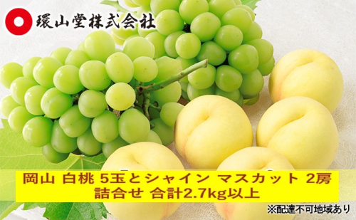 桃 ぶどう 2026年 先行予約 岡山 白桃 5玉とシャイン マスカット 2房 詰合せ 合計2.7kg以上 もも 葡萄 岡山県産 国産 フルーツ 果物 ギフト 環山堂 2616661 - 岡山県高梁市