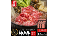 定期便 神戸牛 霜降り 肩ロース しゃぶしゃぶ すき焼き 計7.2kg（1.2kg×6回）毎月1回のお届け / A4ランク以上 しゃぶしゃぶ用 すき焼き用 牛肉 ロース 小分け 薄切り うす切り 冷凍 肉の天園