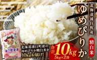 〈 令和8年産 〉 浦臼産 ゆめぴりか 精白米 10kg （ 5kg × 2袋 ） お米 米 こめ コメ 白米 白飯 飯 ご飯 おにぎり ブランド米 ブランド 国産 北海道産 和食 【 2026年10月下旬より順次発送 】