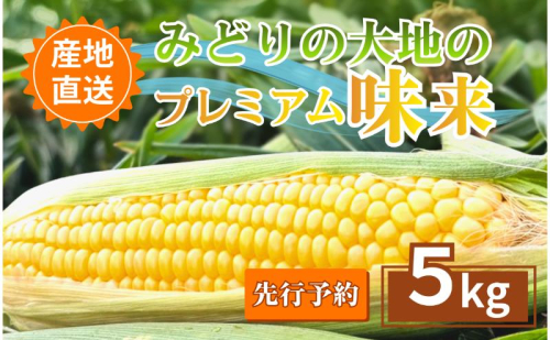 【先行予約】とうもろこし プレミアム味来 みどりの大地 5kg（8～12本入り） 茹でとうもろこし スイートコーン ミラクルコーン 甘いコーン 野菜 長野県 信州 上田 2616781 - 長野県上田市