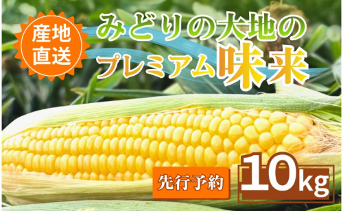 【先行予約】とうもろこし プレミアム味来 みどりの大地 10kg（16～24本入り） 茹でとうもろこし スイートコーン ミラクルコーン 甘いコーン 野菜 長野県 信州 上田 2616782 - 長野県上田市