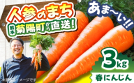 菊陽春にんじん 秀品 3kg / にんじん アロマレッド 翔彩 菊陽にんじん 西洋にんじん ニンジン 人参 野菜 熊本 菊陽 【マツモト：ファーム】 [BHDH001]
