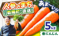 菊陽春にんじん 秀品 5kg / にんじん アロマレッド 翔彩 菊陽にんじん 西洋にんじん ニンジン 人参 野菜 熊本 菊陽 【マツモト：ファーム】 [BHDH002]