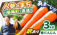 【訳あり】菊陽春にんじん 3kg  / にんじん アロマレッド 翔彩 菊陽にんじん 西洋にんじん ニンジン 人参 野菜 熊本 菊陽 わけあり 【マツモト：ファーム】 [BHDH004]