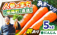 【訳あり】菊陽春にんじん 5kg (訳あり) / にんじん アロマレッド 翔彩 菊陽にんじん 西洋にんじん ニンジン 人参 野菜 熊本 菊陽 わけあり 【マツモト：ファーム】 [BHDH005]