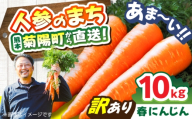 【訳あり】菊陽春にんじん 10kg (訳あり) / にんじん アロマレッド 翔彩 菊陽にんじん 西洋にんじん ニンジン 人参 野菜 熊本 菊陽 わけあり 【マツモト：ファーム】 [BHDH006]