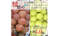 [2026年先行予約]冬季限定 SDGs 粒 2種のぶどう 食べ比べ シャインマスカット&スカーレット 1kg相当 [令和8年発送 数量限定 粒 シャインマスカット シャイン スカーレット 赤系ぶどう ぶどう 葡萄 希少種 くだもの フルーツ ご家庭用 新鮮 果物 くだもの 産地直送 直送 笛吹 山梨] 157-056