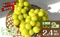 [2026年度先行予約]笛吹市産シャインマスカット定期便2.4kg相当(1.2kg×2回)[令和8年発送 シャイン ぶどう 葡萄 果物 くだもの フルーツ 新鮮 産地直送 農家直送 贈答 ギフト 山梨 笛吹市 ] 157-058