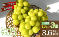 【2026年度先行予約】笛吹市産シャインマスカット定期便3.6kg相当（1.2kg×3回）〈令和8年発送　シャイン　ぶどう　葡萄　果物　くだもの　フルーツ　新鮮　産地直送　農家直送　贈答　ギフト　山梨　笛吹市　〉 157-059-26y