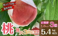 【2026年度先行予約】笛吹市産 桃好きのための贅沢3回定期便　1.8kg × 3回 （5.4kg相当）〈令和8年発送　厳選　桃　もも　果物　くだもの　フルーツ　新鮮　産地直送　農家直送　贈答　ギフト　山梨　笛吹市〉157-060-26y