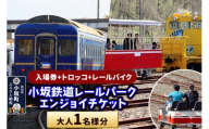小坂鉄道レールパークエンジョイチケット（入場券＋トロッコ＋レールバイク）大人1名＜レターパックプラス＞ [小坂鉄道レールパーク 体験チケット 体験施設 レールバイク トロッコ レジャー 乗車体験 見学 複合施設]
