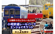 小坂鉄道レールパークエンジョイチケット（入場券＋トロッコ＋レールバイク）大人2名＜レターパックプラス＞ [小坂鉄道レールパーク 体験チケット 体験施設 レールバイク トロッコ レジャー 乗車体験 見学 複合施設]