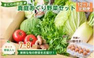 【12カ月定期便】真庭あぐり野菜セット カット野菜が1品入る 7～8品 平飼い卵付き / 産地直送 農家 お試し 岡山県 新鮮 あぐりガーデン 国産 【配送不可地域：北海道／沖縄県／離島】 【jujy-tkb061】