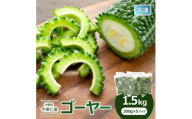 急速冷凍で旨味を閉じ込めた!今帰仁産のゴーヤー1.5kg(300g×5パック)【1386734】