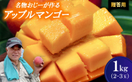 ＜2026年7月から順次発送・贈答用＞名物おじーが作るアップルマンゴー1kg(2～3玉)【1694660】