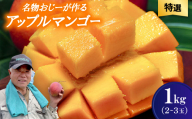 ＜2026年7月から順次発送・特選＞名物おじーが作るアップルマンゴー1kg(2～3玉)【1694691】