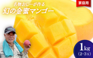 ＜2026年7月から順次発送・家庭用＞名物おじーが作る幻の金蜜マンゴー1kg(2～3玉)【1694701】