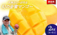＜2026年7月から順次発送・家庭用＞名物おじーが作る幻の金蜜マンゴー2kg(4～6玉)【1694702】