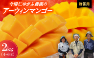＜2026年7月から順次発送・贈答用＞今帰仁ゆがふ農園のアーウィンマンゴー2kg(4～6玉)【1694712】