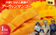 ＜2026年7月から順次発送・特選＞今帰仁ゆがふ農園のアーウィンマンゴー1kg(2～3玉)【1694714】