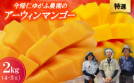 ＜2026年7月から順次発送・特選＞今帰仁ゆがふ農園のアーウィンマンゴー2kg(4～5玉)【1694716】