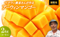 ＜2026年7月から順次発送・贈答用＞ベテラン農家さんが作る アーウィンマンゴー2kg(4～6玉)【1695286】