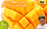 ＜2026年7月から順次発送・特選＞ベテラン農家さんが作る アーウィンマンゴー1kg(2～3玉)【1695292】