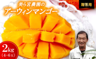 ＜2026年7月から順次発送・贈答用＞美ら宮農園のアーウィンマンゴー2kg(4～6玉)【1695311】