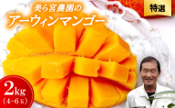 ＜2026年7月から順次発送・特選＞美ら宮農園のアーウィンマンゴー2kg(4～6玉)【1695314】