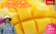 ＜2026年7月から順次発送・家庭用＞内間マンゴー園のアーウィンマンゴー2kg(4～6玉)【1695324】