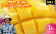 ＜2026年7月から順次発送・贈答用＞内間マンゴー園のアーウィンマンゴー1kg(2～3玉)【1695325】