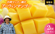 ＜2026年7月から順次発送・贈答用＞内間マンゴー園のアーウィンマンゴー2kg(4～6玉)【1695326】