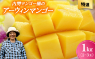 ＜2026年7月から順次発送・特選＞内間マンゴー園のアーウィンマンゴー1kg(2～3玉)【1695327】