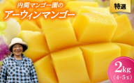 ＜2026年7月から順次発送・特選＞内間マンゴー園のアーウィンマンゴー2kg(4～5玉)【1695328】