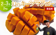 ＜2026年8月下旬から順次発送・家庭用＞みなとばる農園の幻のキーツマンゴー2.0kg(2～3玉)【1699837】
