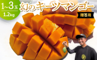＜2026年8月下旬から順次発送・贈答用＞みなとばる農園の幻のキーツマンゴー1.2kg(1～3玉)【1699963】