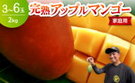 ＜2026年6月下旬から順次発送・家庭用＞みなとばる農園の完熟アップルマンゴー2kg(3～6玉)【1699990】