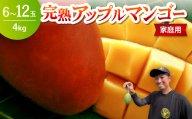 ＜2026年6月下旬から順次発送・家庭用＞みなとばる農園の完熟アップルマンゴー4kg(6～12玉)【1699998】